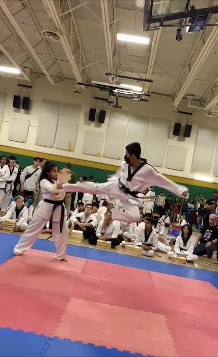 Eagle Tae Kwon Do Picture 8