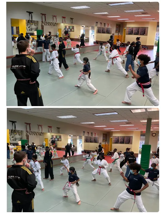Elite Action Martial Arts & Before / After School Picture 1