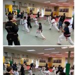 Elite Action Martial Arts & Before / After School