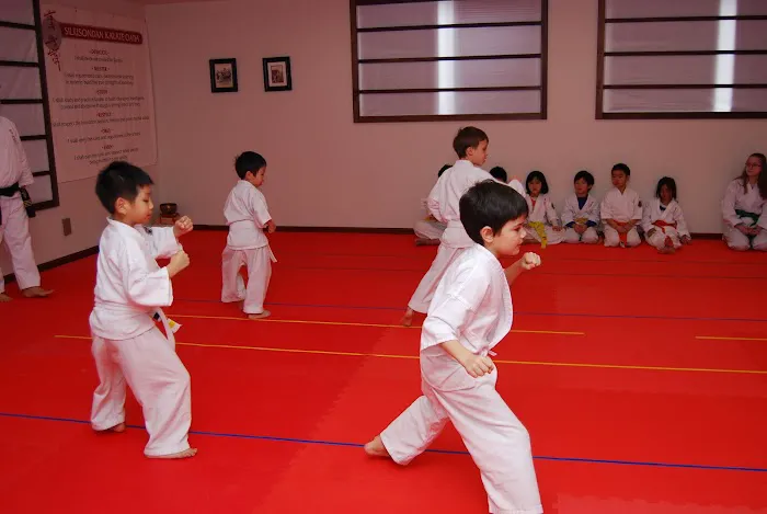Kha's Karate School Picture 1