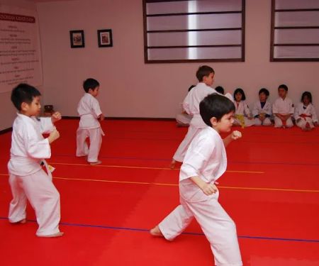 Kha's Karate School