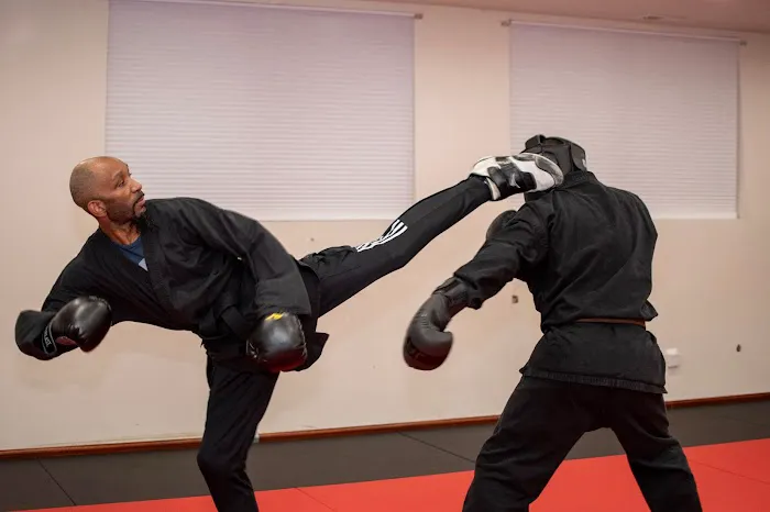 Shadow Combatives & Self-Defense Picture 3