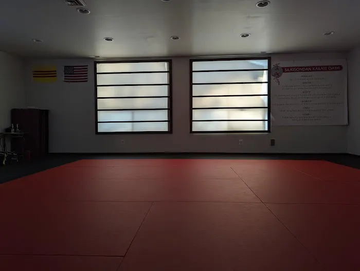 Shadow Combatives & Self-Defense Picture 1