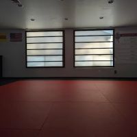 Shadow Combatives & Self-Defense ico