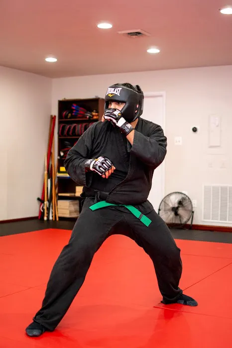 Shadow Combatives & Self-Defense Picture 5