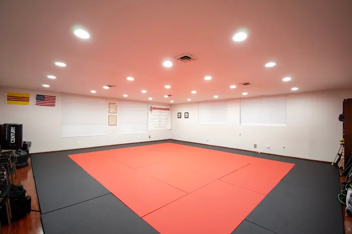 Shadow Combatives & Self-Defense Picture 4