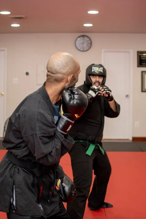 Shadow Combatives & Self-Defense Picture 8