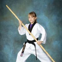 Academy for the Martial Arts ico