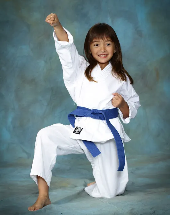 Academy for the Martial Arts Picture 6