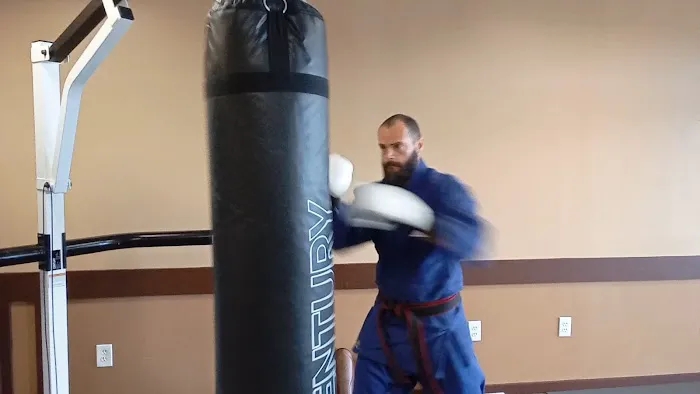 Reborn Martial Arts Picture 1