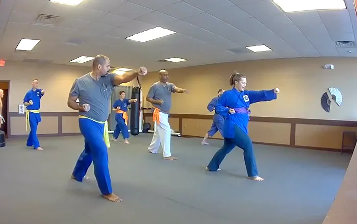 Reborn Martial Arts Picture 2