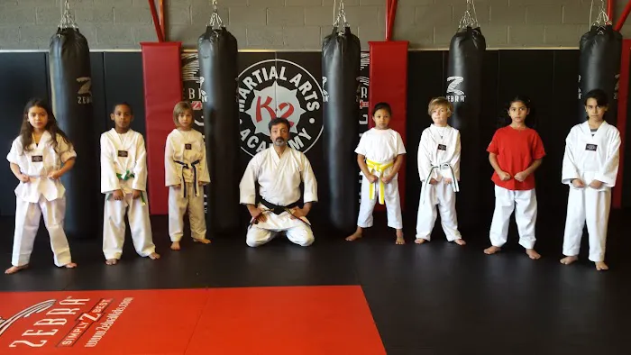 K2 Martial Arts Academy LLC Picture 4