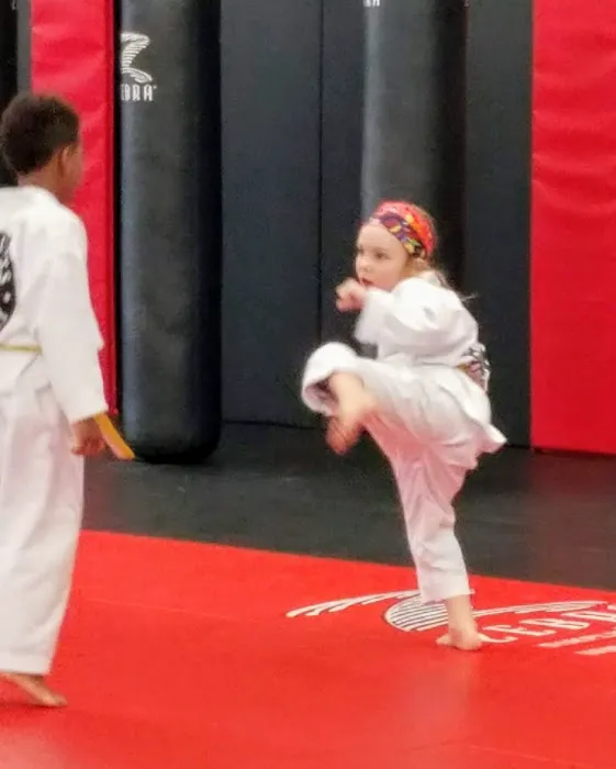 K2 Martial Arts Academy LLC Picture 8