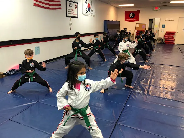 YSL Hapmudo Studio Picture 3