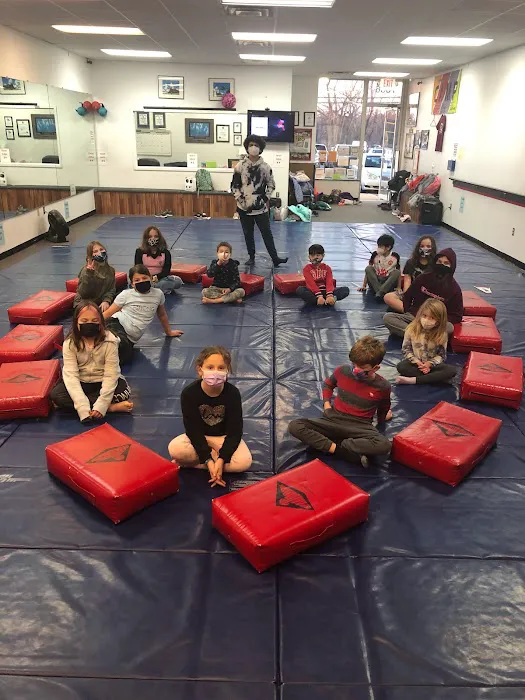 YSL Hapmudo Studio Picture 2