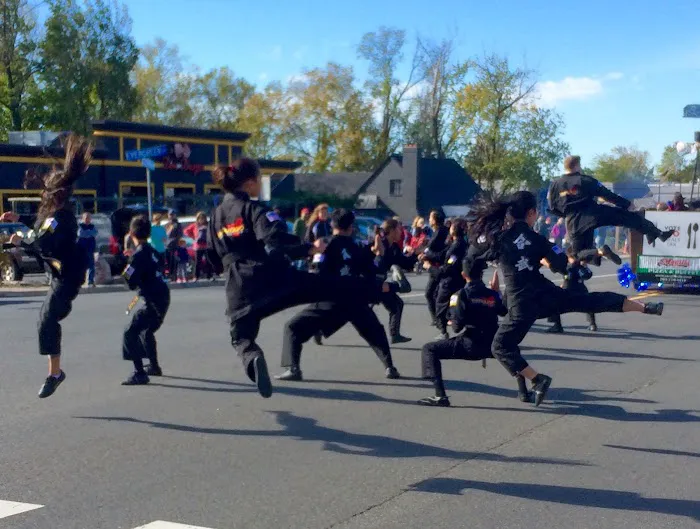 YSL Hapmudo Studio Picture 5