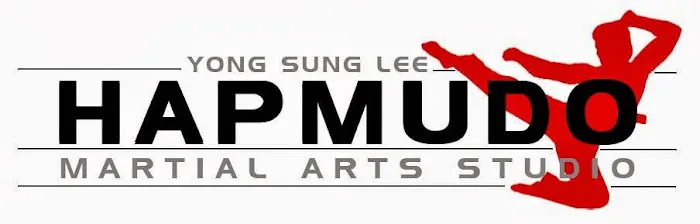 YSL Hapmudo Studio Picture 8