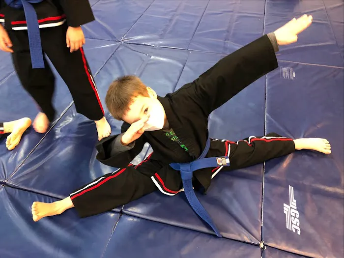 YSL Hapmudo Studio Picture 6