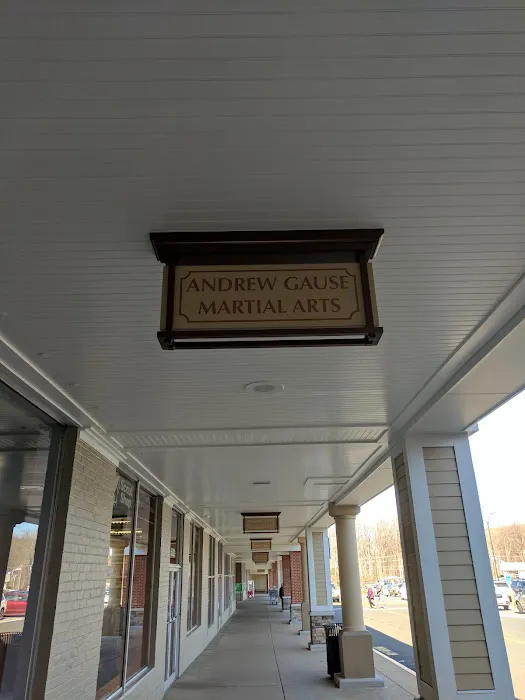 Andrew Gause's Martial Arts Picture 4