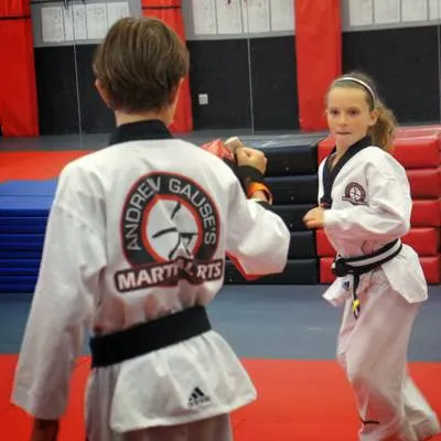 Andrew Gause's Martial Arts Picture 8