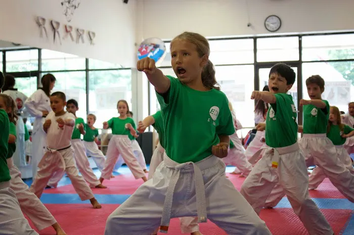 Elite M.A. Center - Springfield Picture 10