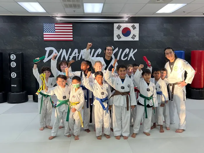 Dynamic Kick Martial Arts of Lorton Picture 4