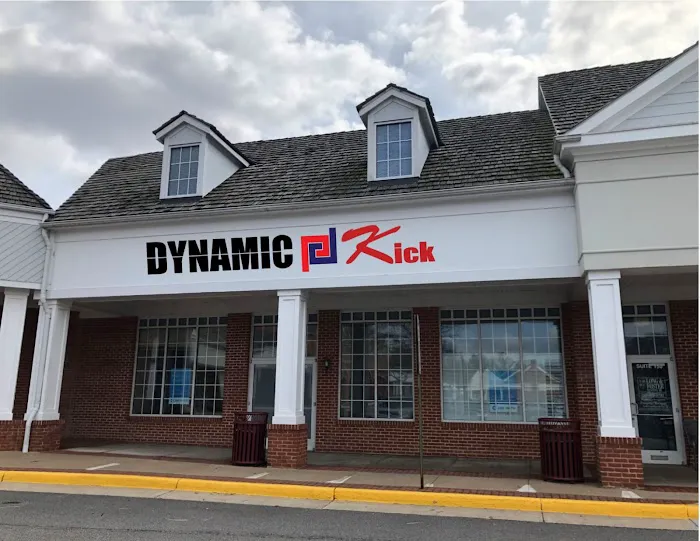 Dynamic Kick Martial Arts of Lorton Picture 5