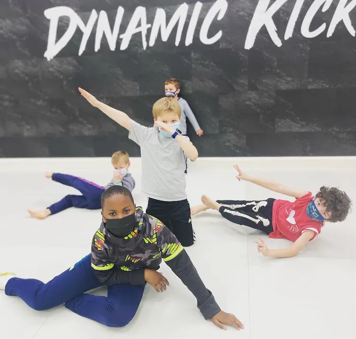 Dynamic Kick Martial Arts of Lorton Picture 6