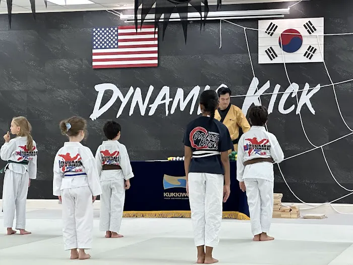 Dynamic Kick Martial Arts of Lorton Picture 7