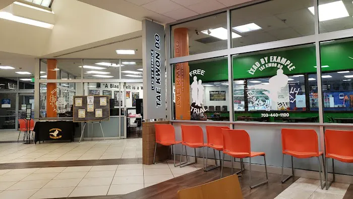 Lead By Example Tae Kwon Do Picture 4