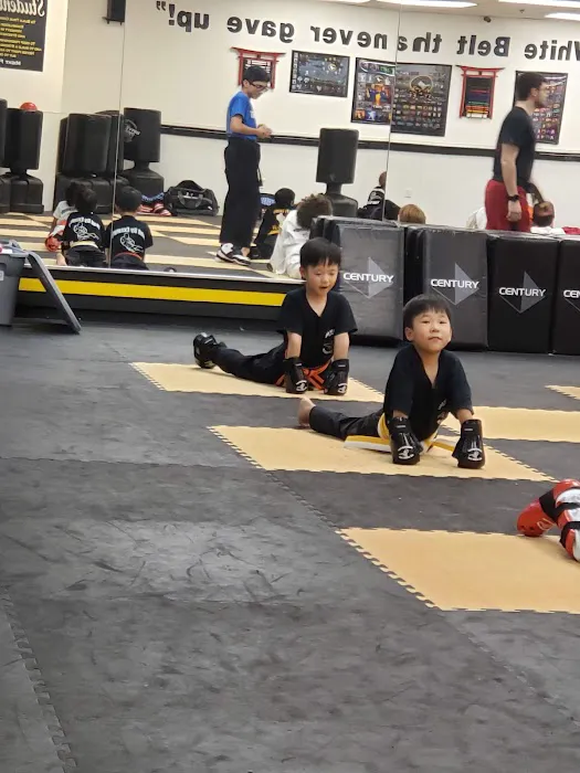 Lead By Example Tae Kwon Do Picture 5