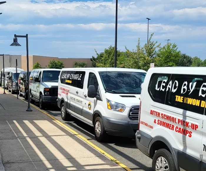 Lead By Example Tae Kwon Do Picture 8