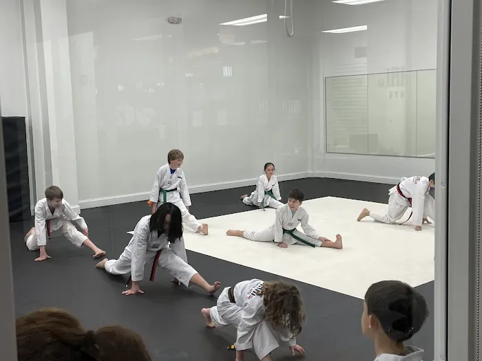 Himchari Martial Arts - Rolling Valley Picture 10