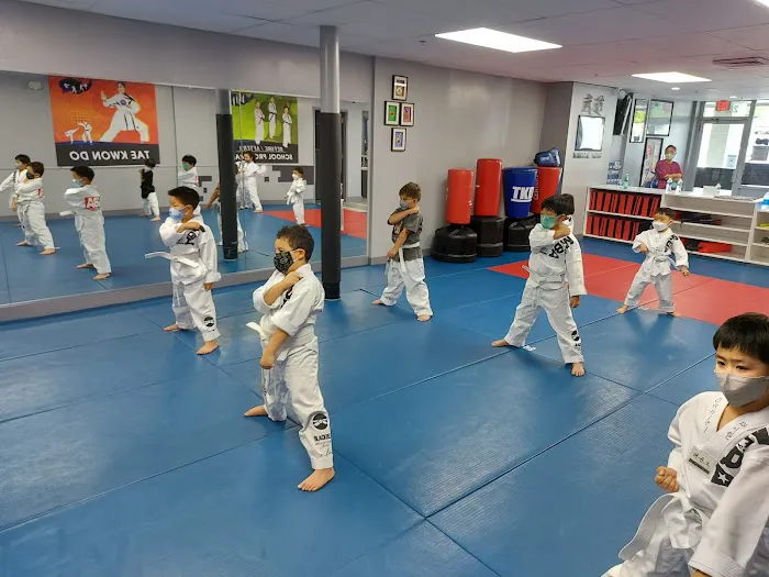 Martial Arts Black Belt Academy - Vienna Picture 1