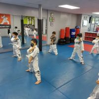 Martial Arts Black Belt Academy - Vienna ico