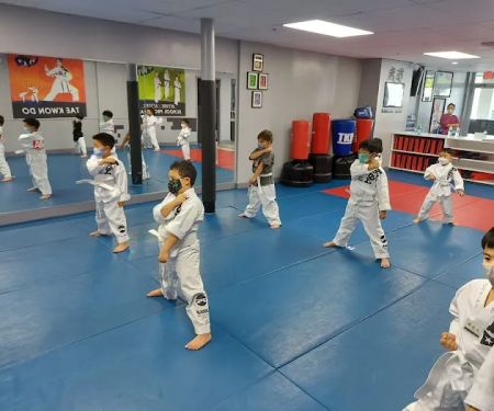 Martial Arts Black Belt Academy - Vienna