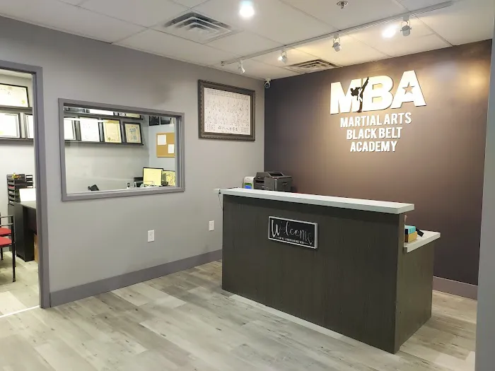 Martial Arts Black Belt Academy - Vienna Picture 7