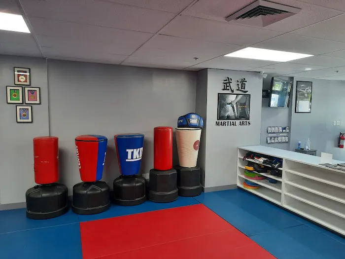 Martial Arts Black Belt Academy - Vienna Picture 10