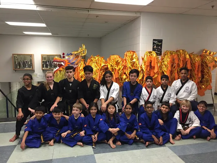 World Champion Tae Kwon Do Academy Picture 6