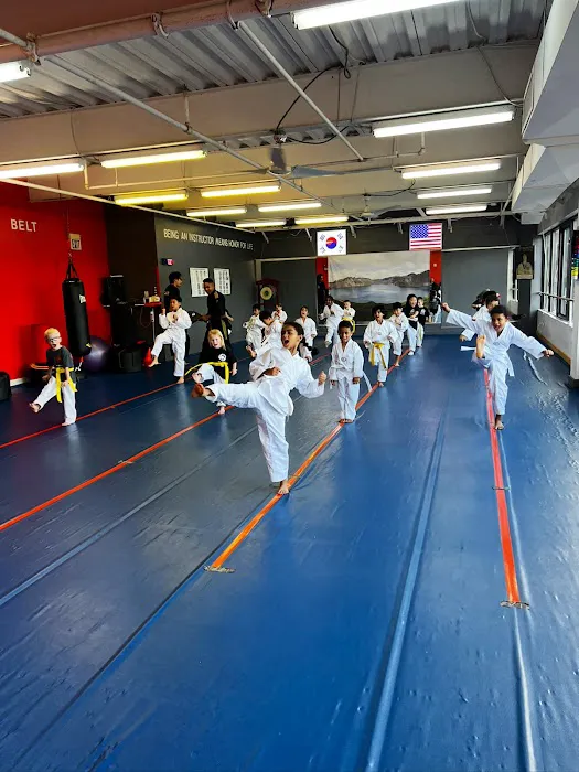 World Champion Tae Kwon Do Academy Picture 5