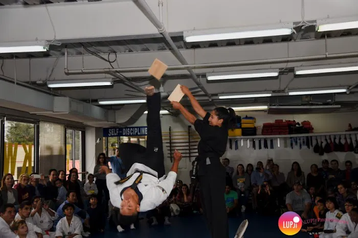 World Champion Tae Kwon Do Academy Picture 8