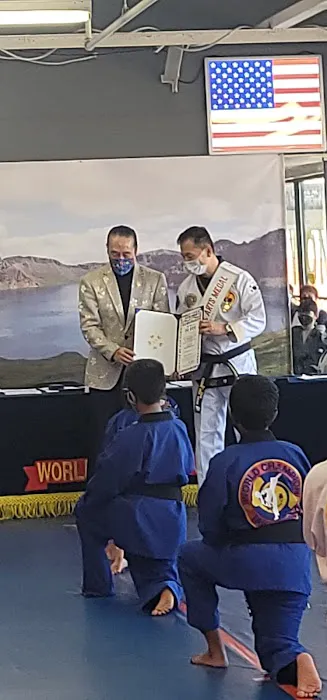 World Champion Tae Kwon Do Academy Picture 10