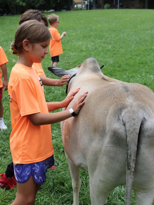 InCourage Martial Arts Picture 9