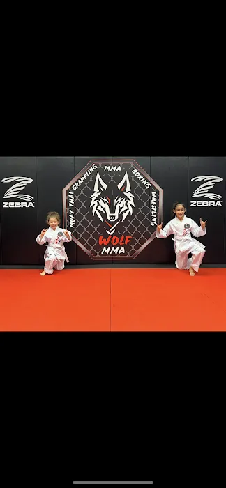 Wolf MMA Picture 2
