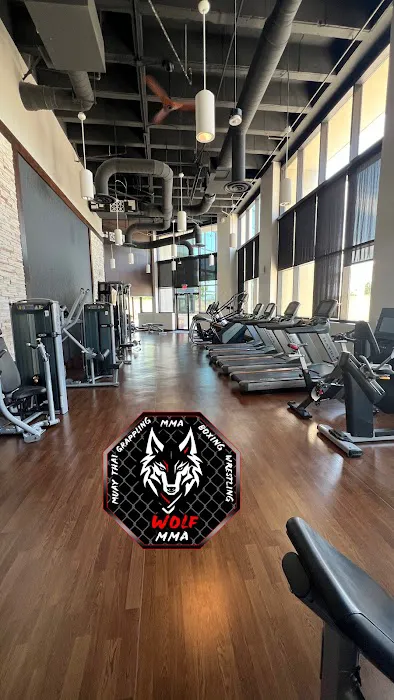 Wolf MMA Picture 4