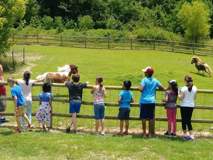 Kim's Olympic Taekwondo Center in Fairfax Picture 4