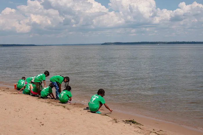 Elite M.A. Center - Fairfax Picture 3