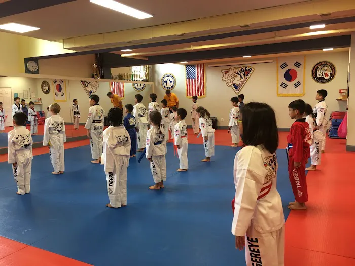 Tigereye TaeKwonDo, Inc. Picture 1