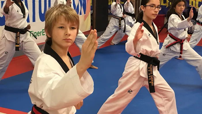 Tigereye TaeKwonDo, Inc. Picture 2