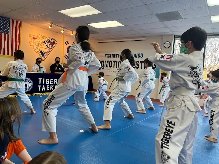 Tigereye TaeKwonDo, Inc. Picture 3